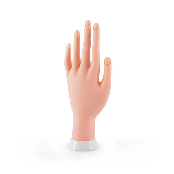 BIFULL MANO FLEXIBLE PARA PRACTICAS FLEXIBLE HAND