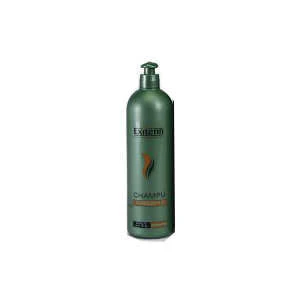 CHAMPÚ DIARIO 500ML.