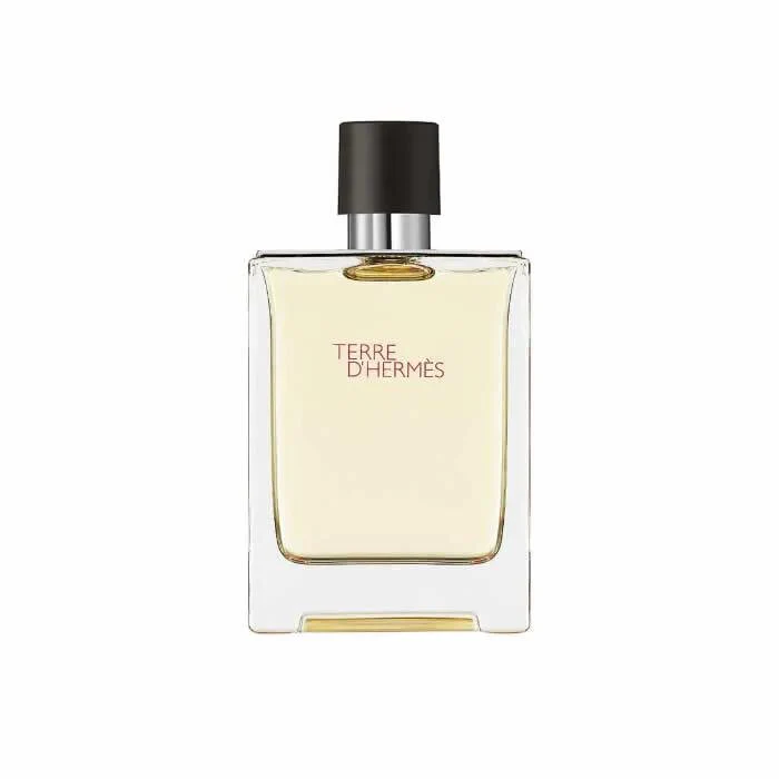 Hermes Terre D´Hermes Eau De Toilette Spray 100ml